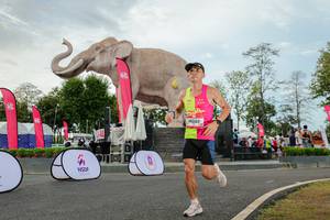 BIB: 
                            <button type="button" onclick="openModal(26528706)" class="btn btn-primary btn-sm float-right btn-popup" data-toggle="modal" data-target=".modal-high-quality">
                        <i class="fas fa-shopping-cart"></i> Add to Cart
                    </button>
                                            <button type="button" onclick="isThisMe(26528706, true)" class="btn btn-success btn-sm float-right btn-popup btn-isme hidden" data-toggle="tooltip" data-placement="bottom" title="นี่คือรูปของคุณใช่ไหม คลิกที่นี่เพื่อเอาเข้าอัลบั้ม">
                        <i class="fas fa-plus"></i> Add to album
                    </button>
                    <button type="button" onclick="isThisMe(26528706, false)" class="btn btn-warning btn-sm float-right btn-popup btn-isnotme hidden">
                        <i class="fas fa-ban"></i> Remove from album
                    </button>